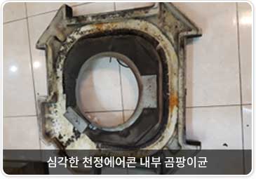 심각한 천정에어콘 내부 곰팡이균 